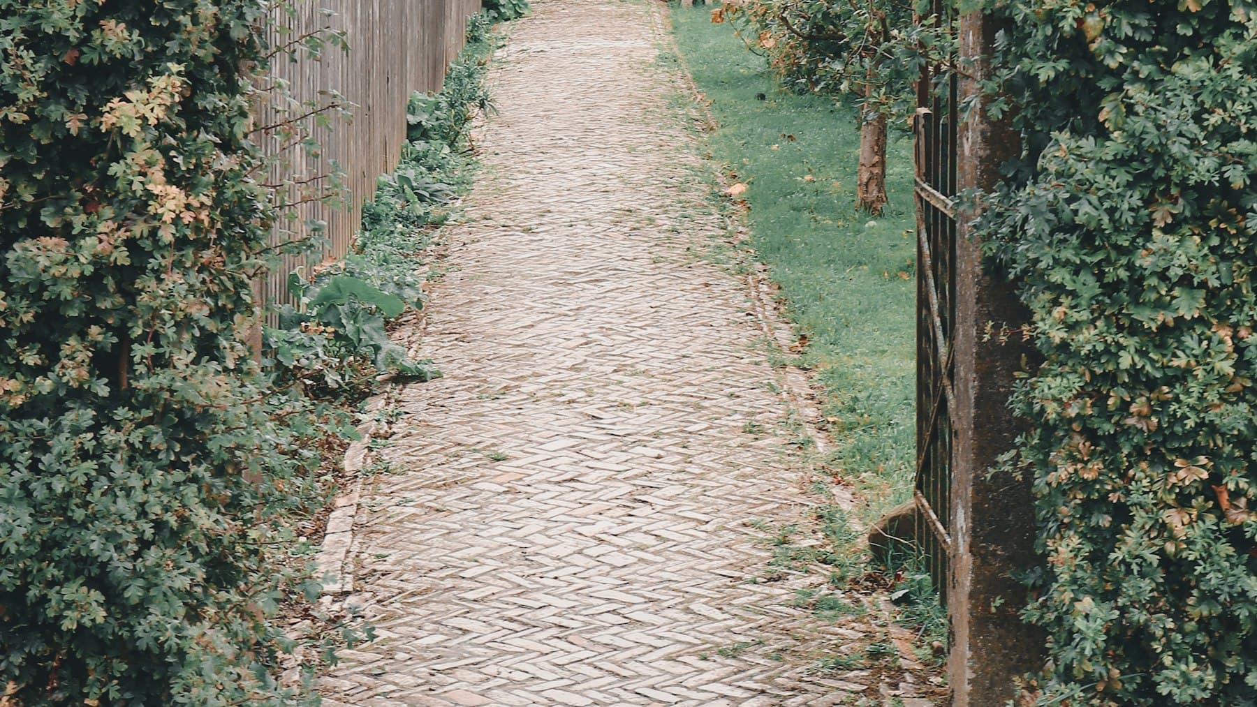 A narrow garden path leading to a house entrance, showing how the first approach affects kerb appeal.